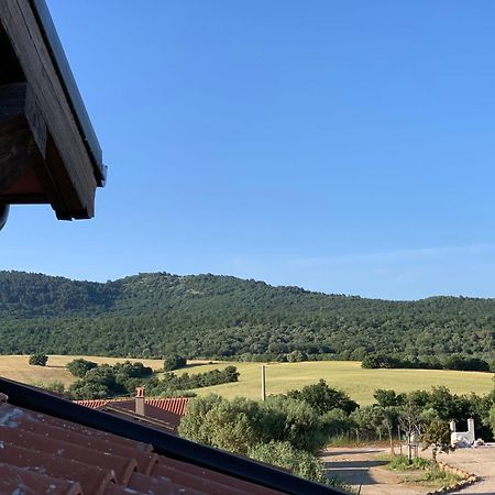 Musignano  Il Poggio Di Musignano 빌라 외부 사진