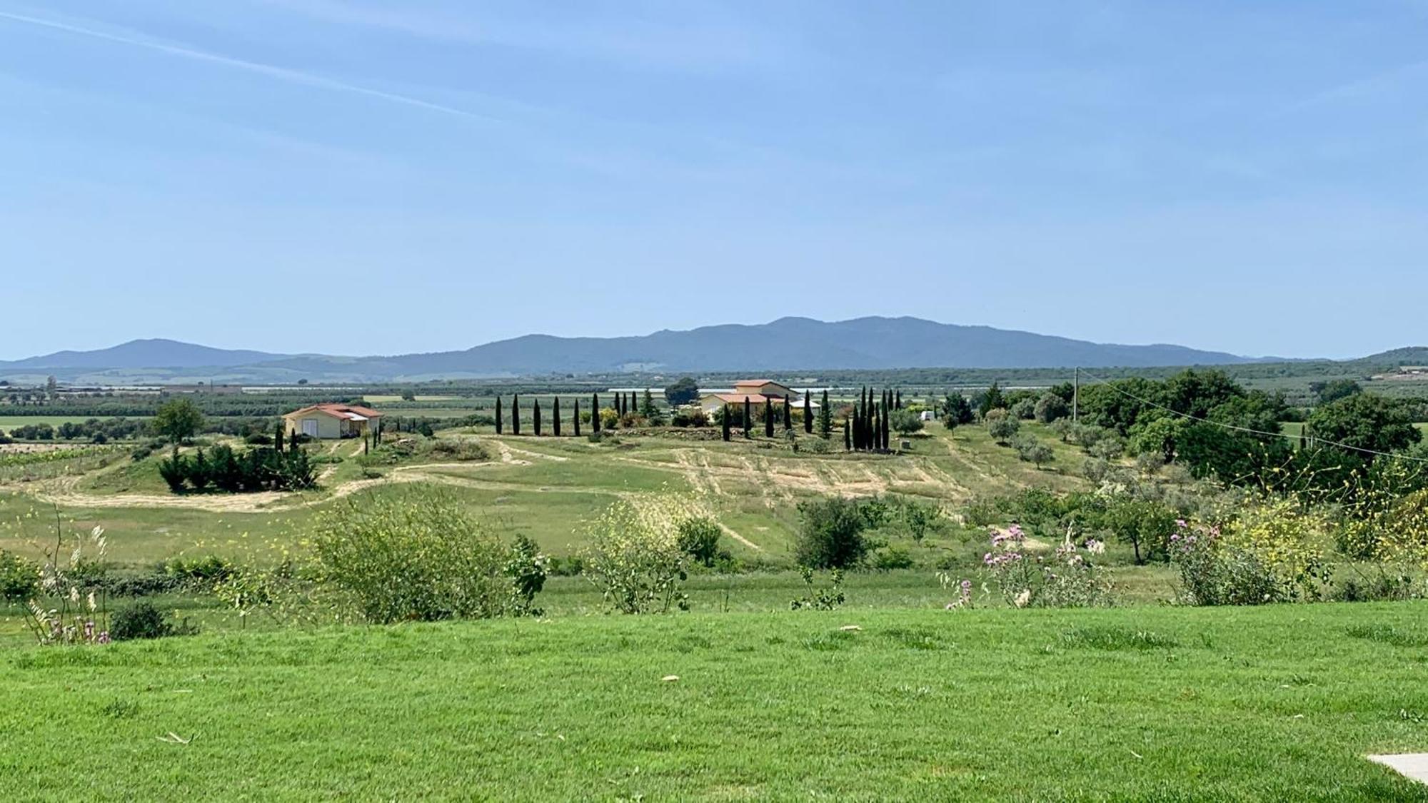 Musignano  Il Poggio Di Musignano 빌라 외부 사진
